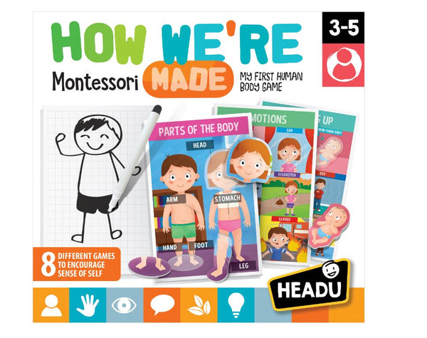 How We Are Made Montessori PAUA how-we-are-made-montessori-paua