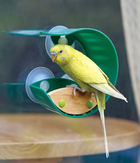 Hape Bird Feeder