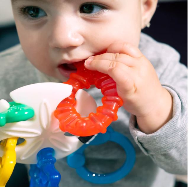 Baby Einstein Sensory Teether