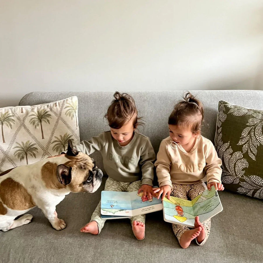 Special Edition Box Set Board Books - A Gift of a Cuddle + I got you some Kisses