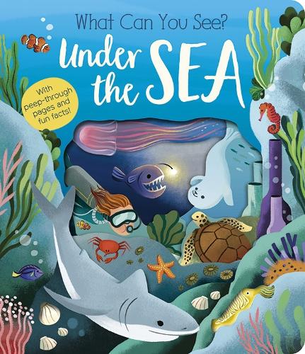 What Can You  See under the Sea Board Bk