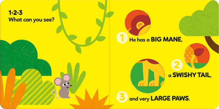 123 What Can You See Safari Board Book