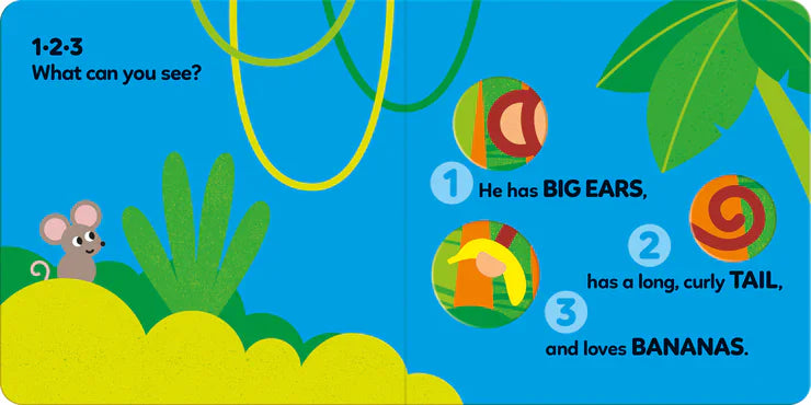 123 What Can You See Jungle Board Book