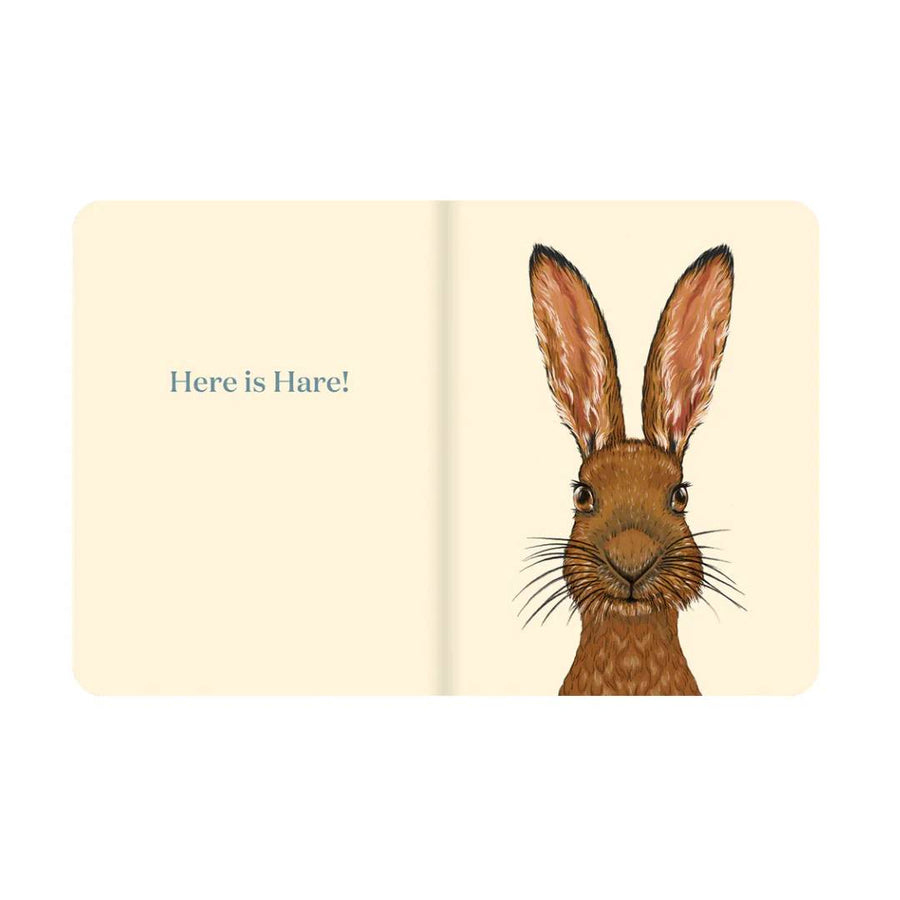 Here is Hare Board Book