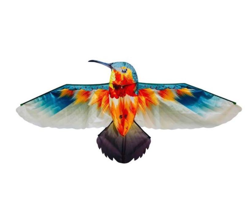 Kite Hummingbird 165 x75 cm