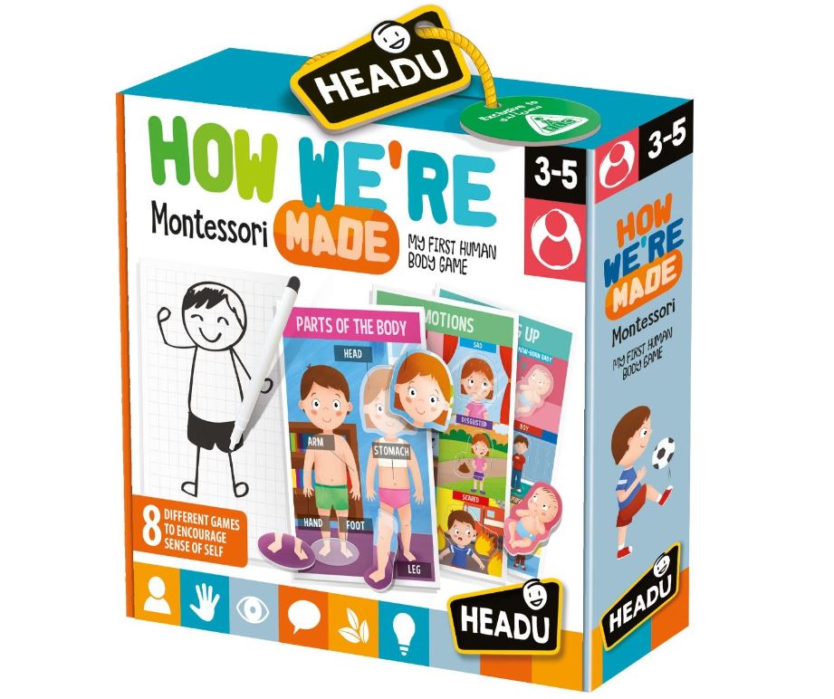 How We Are Made Montessori PAUA how-we-are-made-montessori-paua