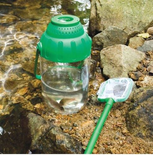 Nature Exploring Kit EDU-toys - PAUA