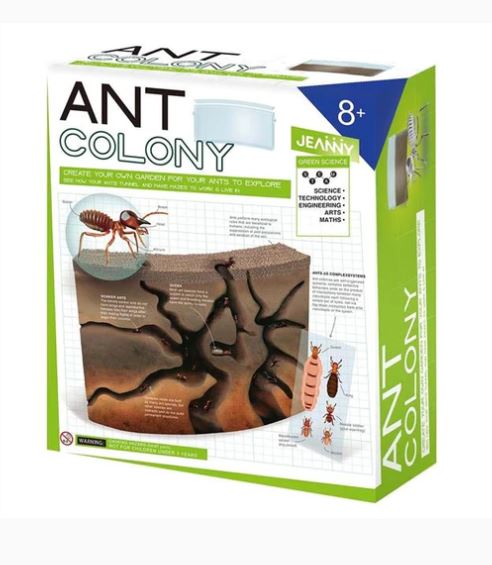 Create Your Own Ant Colony Jeanny