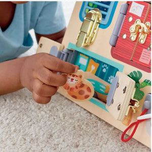 Hape Lock and Learn Board