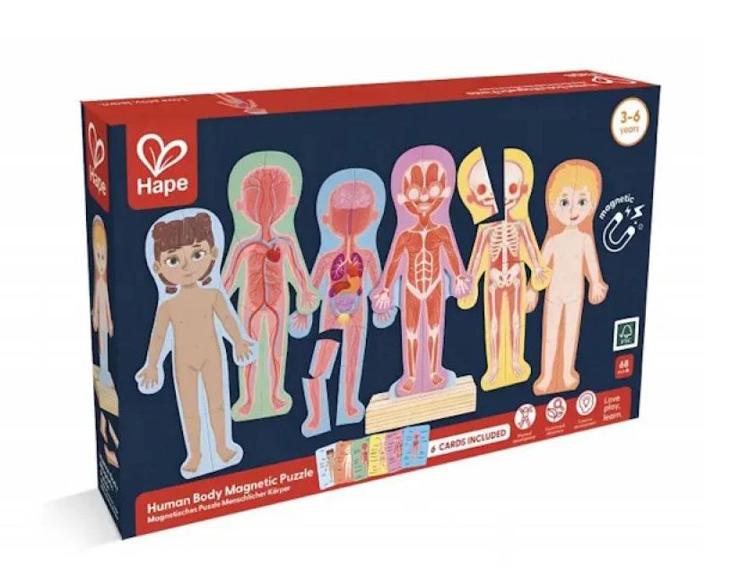 Hape Human Body Magnetic Puzzle
