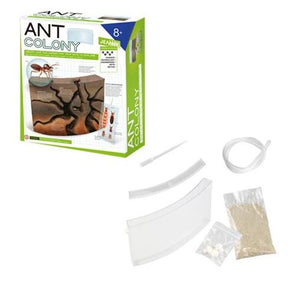 Create Your Own Ant Colony Jeanny