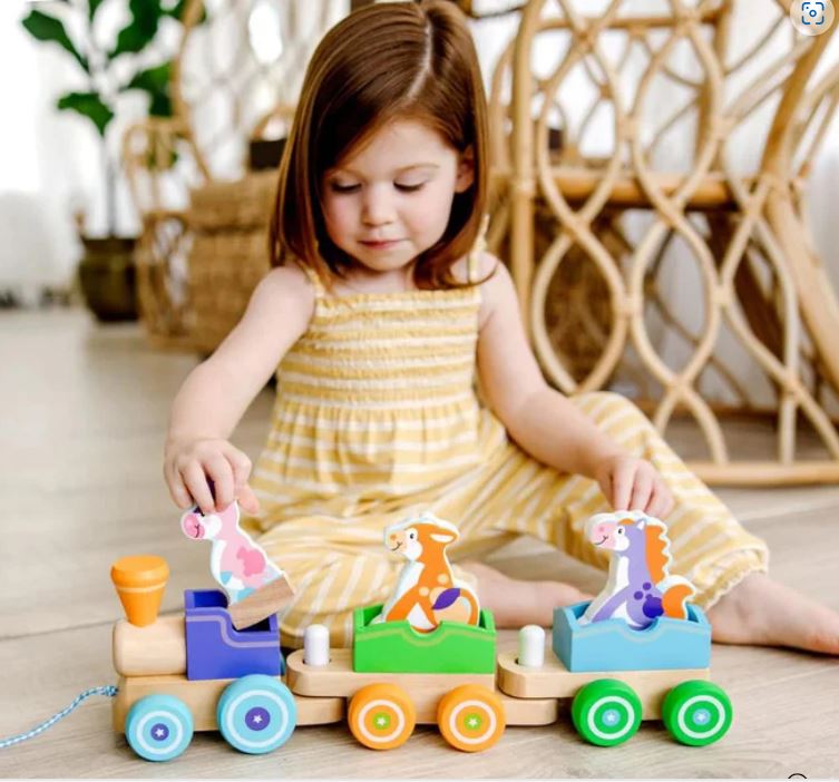 Rocking Animals Pull Train - PAUA