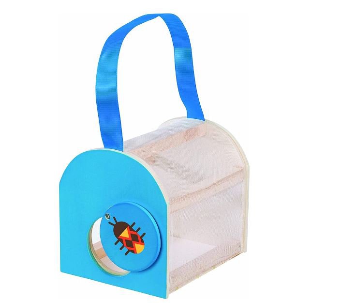 Beetle and Bee Critter Case