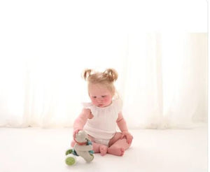 Push and go teddy - Tolo Bio