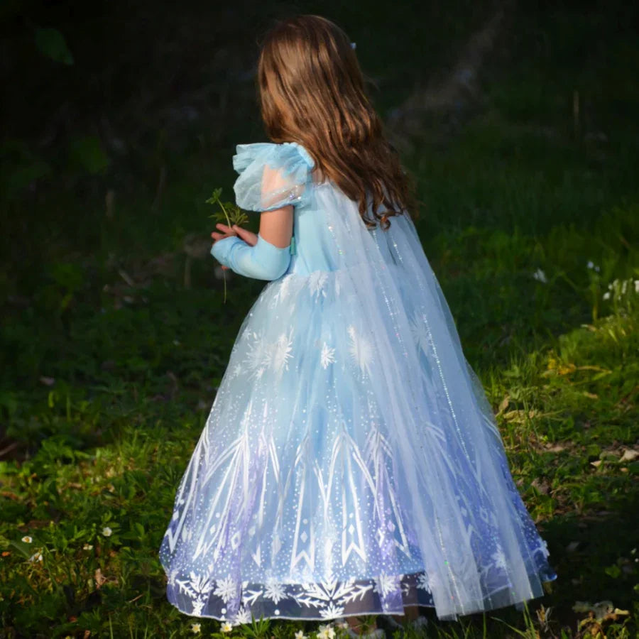 Ice Princess Dress + Acc 6-8 years