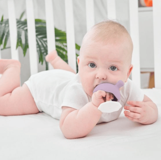 Mushroom Teether Lavender