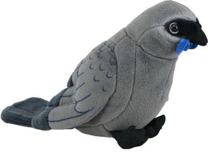 Antics Kokako With Sound