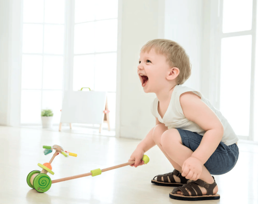 Push Rainbow Wooden - Classic World