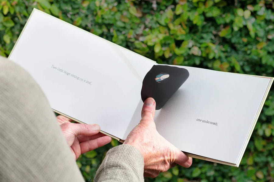 Two Little Bugs Book hardcover