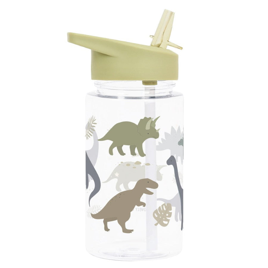 Drink Bottle: Dinosaurs