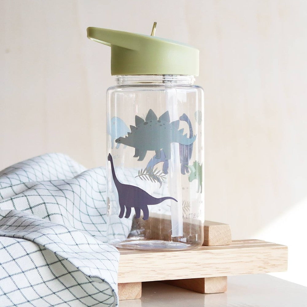 Drink Bottle: Dinosaurs