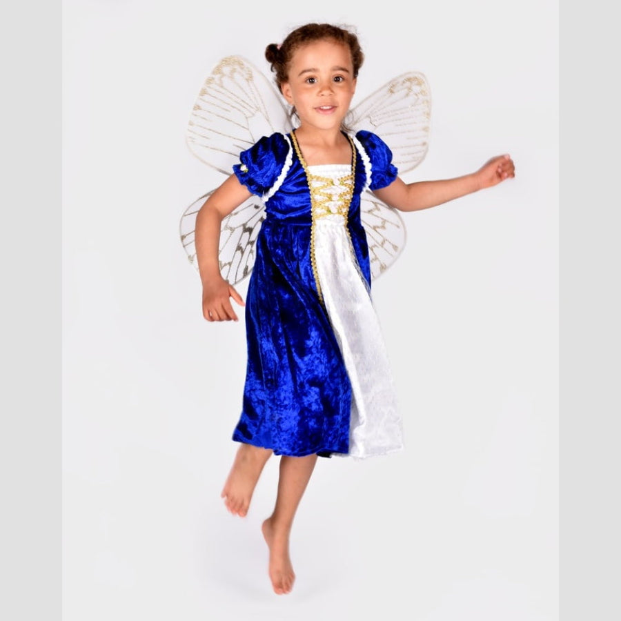 Glitter Wings Gold 60cm with Organza Bag