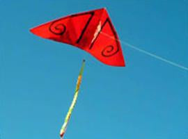 Kite Koru Delta Asstd Colours