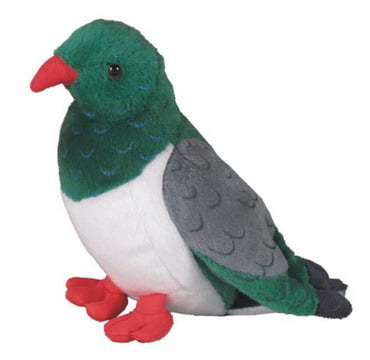 Kereru/wood pigeon with Sound