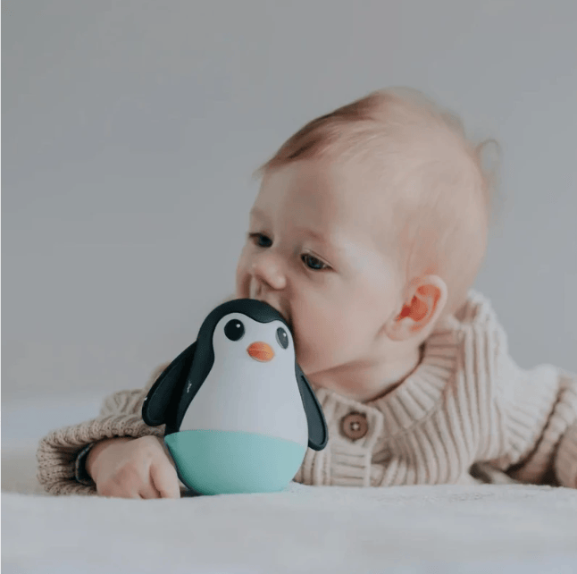 Jellystone Penguin Wobble black