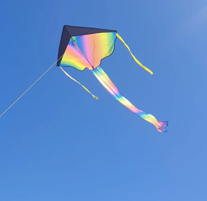 Kite Rainbow Delta