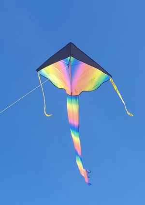 Kite Rainbow Delta