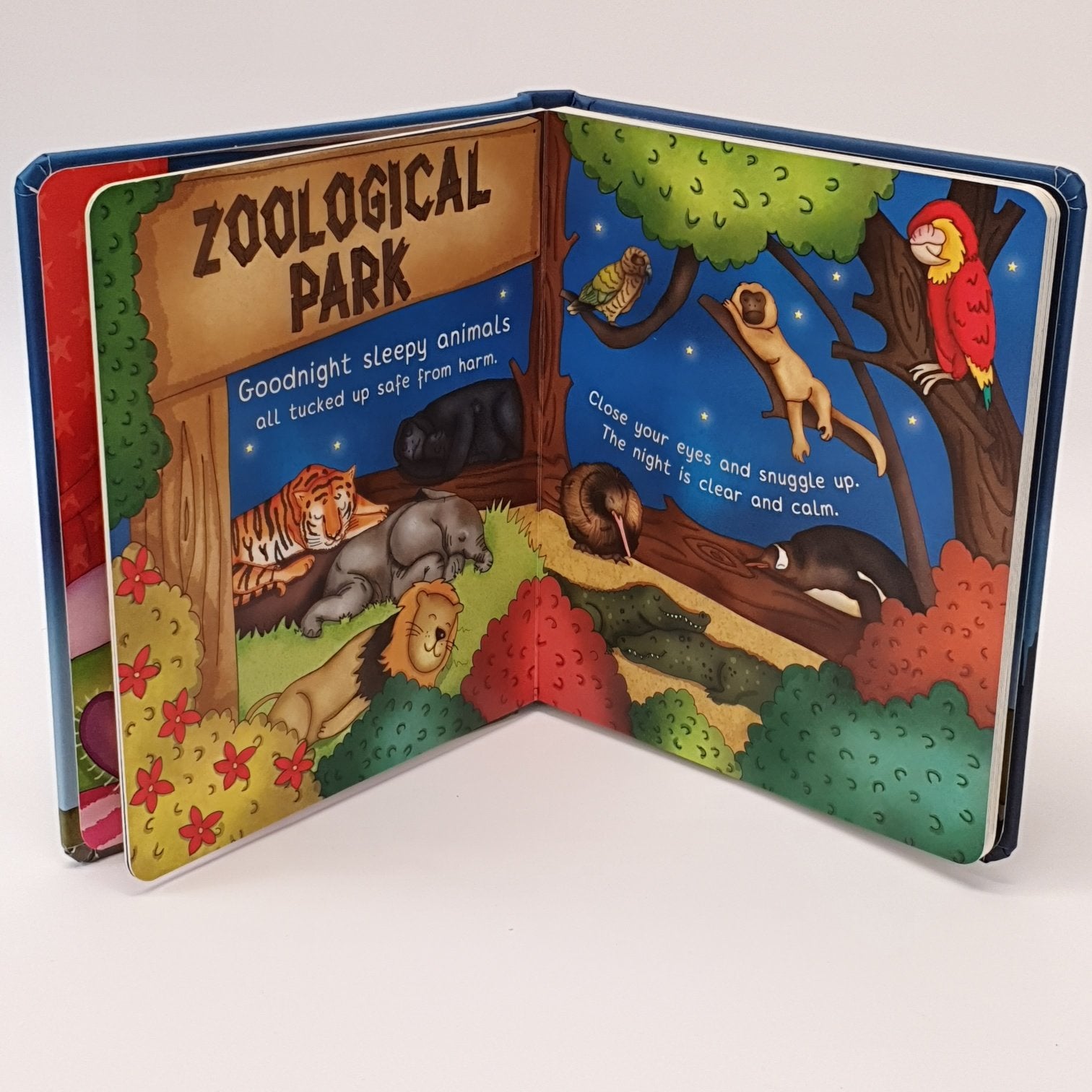 Night Night New Zealand