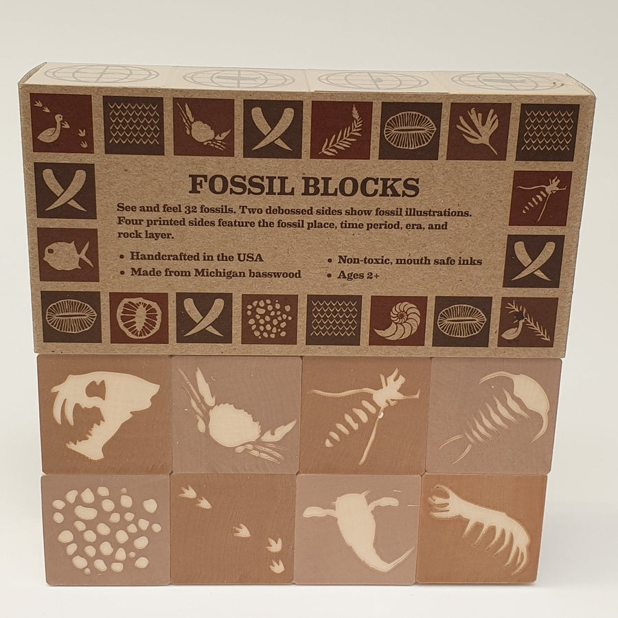 Fossil Blocks
