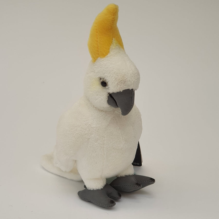 Cookatoo Small With Sound