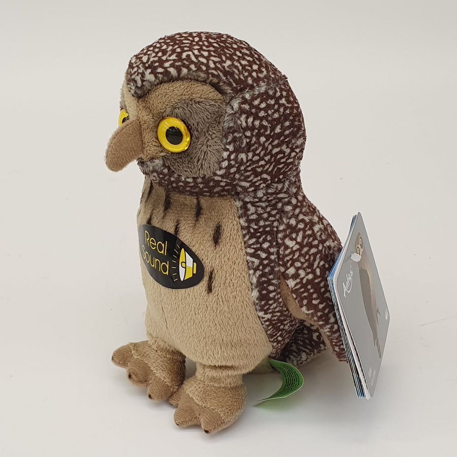 Morepork Sound Bird 15cm