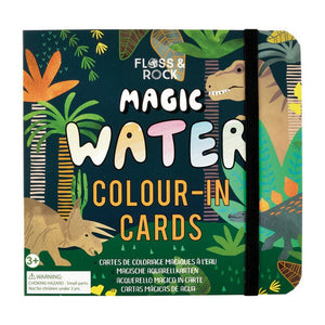 Dino Magic Water Cards and Pen