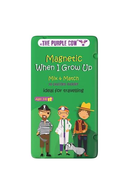 Magnetic Travel Game When I  Grow Up