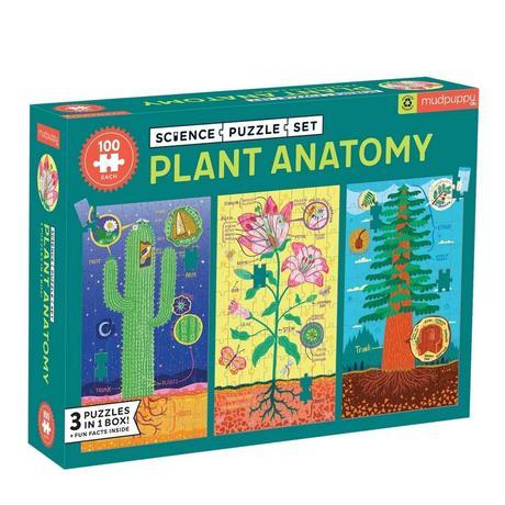 Plant Anatomy Science Puzzle