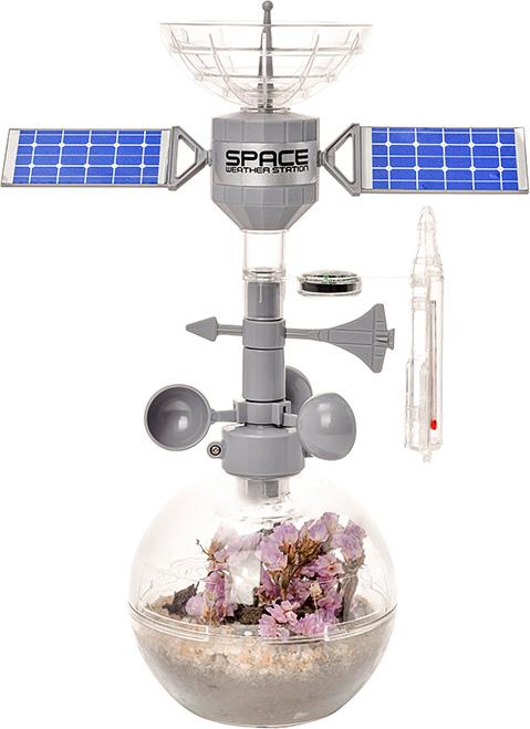 The Space Weather Station