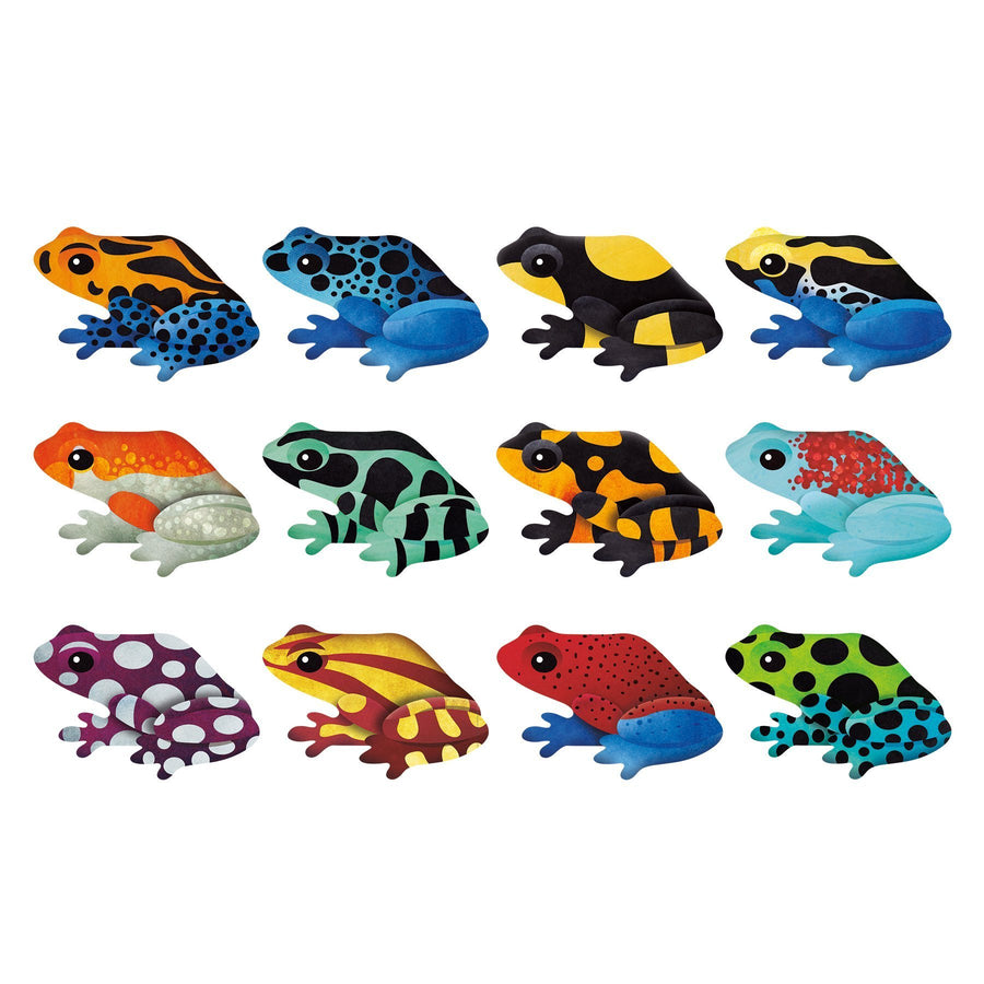 Memory Match - Tropical Frogs